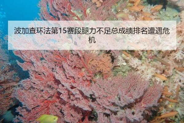 波加查环法第15赛段腿力不足总成绩排名遭遇危机