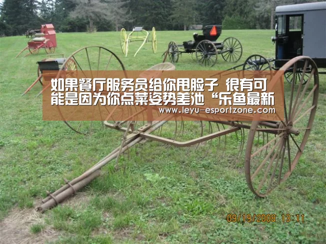 
如果餐厅服务员给你甩脸子 很有可能是因为你点菜姿势差池“乐
