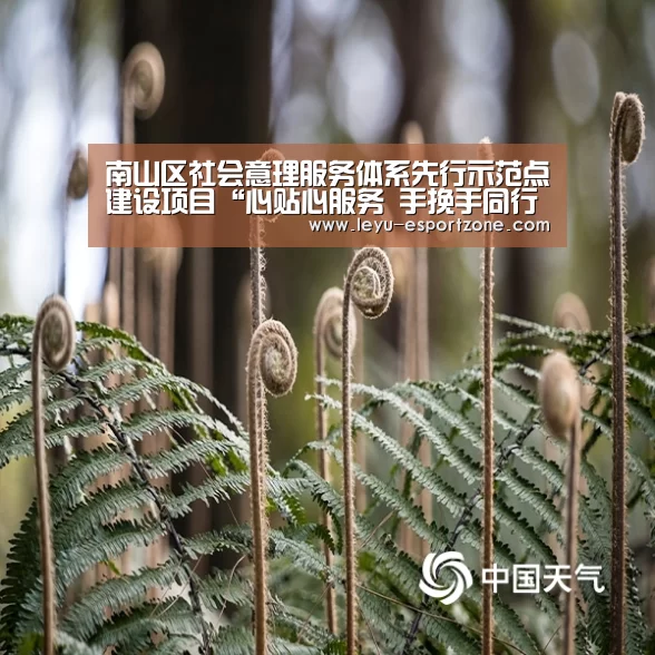 乐鱼最新地址